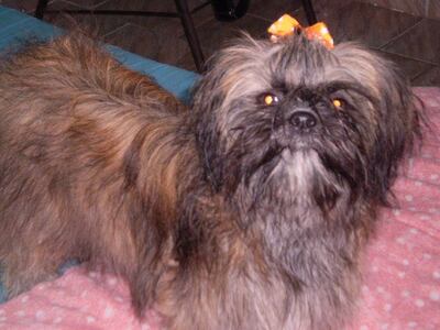 /pf/resources/images/abc-placeholder.png?d=2421