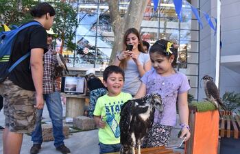 varios-de-los-presentes-tambien-pudieron-tomarse-fotografias-con-el-aguila-pichon-y-los-diversos-halcones--192821000000-1523682.jpg