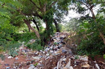 Varios terrenos del área Central están convertidos en minivertederos y a su vez en criaderos de mosquitos.