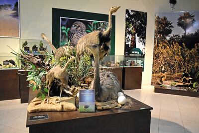 Patrimonio para Ayolas