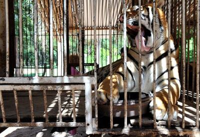 /pf/resources/images/abc-placeholder.png?d=2393