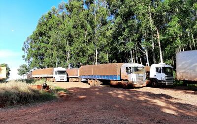 Algunos de los camiones hallados en Salto del Guairá.