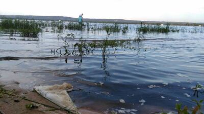 Imagen sin descripción