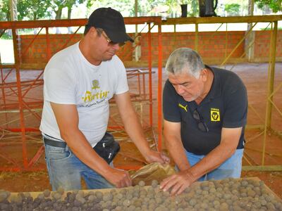 Voluntarios de diferentes comunidades   se sumaron para la     
elaboración de  los bodoques.