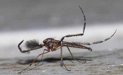 /pf/resources/images/abc-placeholder.png?d=2397