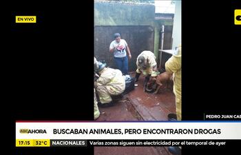 Buscaban animales, pero encontraron dorgas