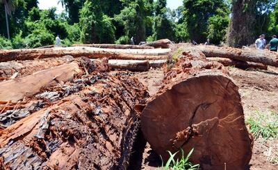 /pf/resources/images/abc-placeholder.png?d=2424