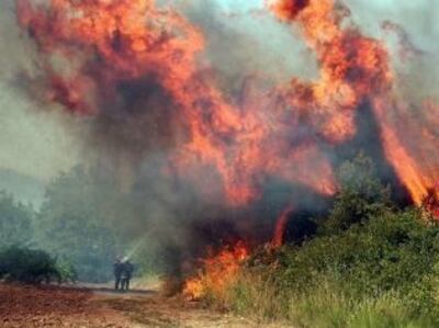 /pf/resources/images/abc-placeholder.png?d=2433