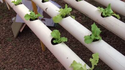 /pf/resources/images/abc-placeholder.png?d=2416