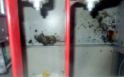 Imagen sin descripción