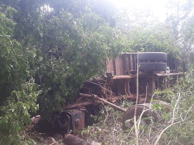 El camión fue a parar en la zona boscosa de la ecovía.