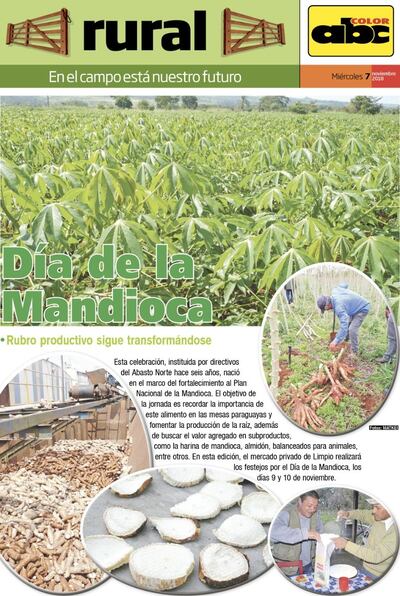 /pf/resources/images/abc-placeholder.png?d=2395