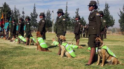 /pf/resources/images/abc-placeholder.png?d=2395