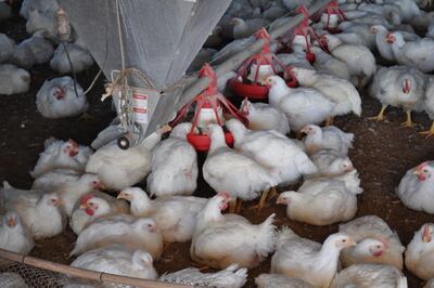 /pf/resources/images/abc-placeholder.png?d=2395