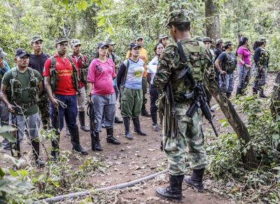 Organismos independientes denuncian presencia de guerrilla colombiana en Venezuela.