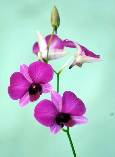 /pf/resources/images/abc-placeholder.png?d=2424