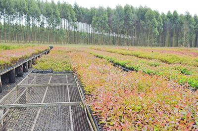 /pf/resources/images/abc-placeholder.png?d=2421