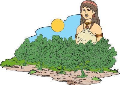 /pf/resources/images/abc-placeholder.png?d=2421