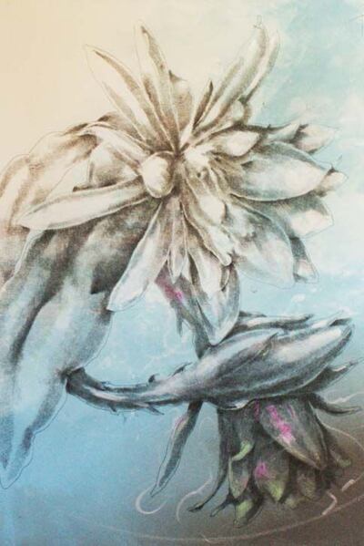 Obra de Félix Toranzos, uno de los 30 artistas paraguayos que expondrán en Buenos Aires (Argentina).