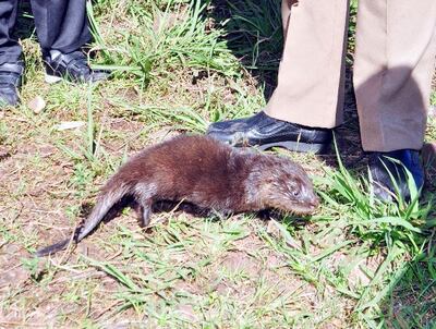 /pf/resources/images/abc-placeholder.png?d=2426