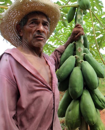 /pf/resources/images/abc-placeholder.png?d=2417