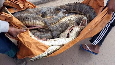 /pf/resources/images/abc-placeholder.png?d=2420