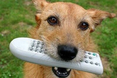 /pf/resources/images/abc-placeholder.png?d=2417