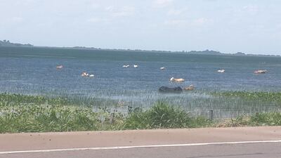 /pf/resources/images/abc-placeholder.png?d=2433