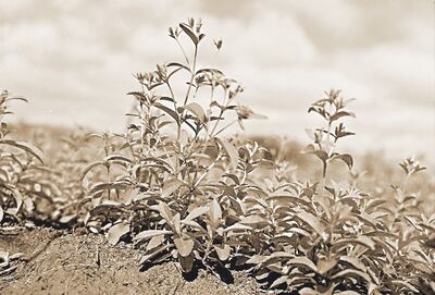 /pf/resources/images/abc-placeholder.png?d=2421