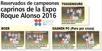 /pf/resources/images/abc-placeholder.png?d=2429