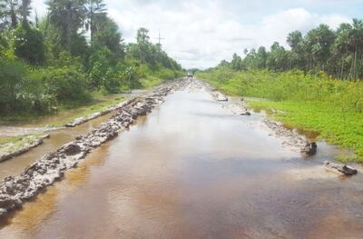 /pf/resources/images/abc-placeholder.png?d=2429