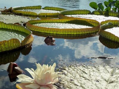 /pf/resources/images/abc-placeholder.png?d=2399