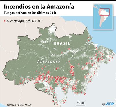 INCENDIOS EN LA AMAZONÍA