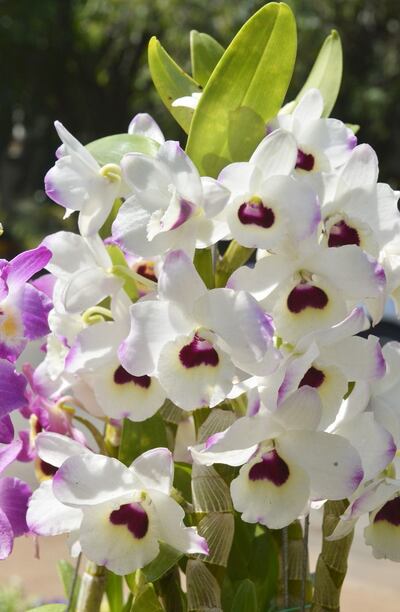 /pf/resources/images/abc-placeholder.png?d=2394