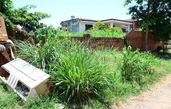 La Municipalidad de Ciudad del Este multará a los propietarios de terrenos baldíos "puercos".