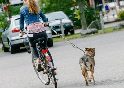 /pf/resources/images/abc-placeholder.png?d=2421