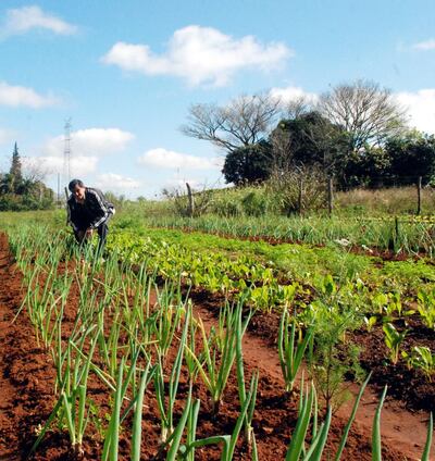 /pf/resources/images/abc-placeholder.png?d=2429