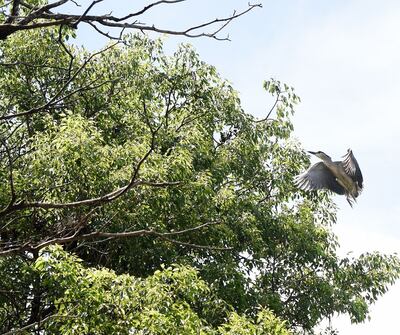 /pf/resources/images/abc-placeholder.png?d=2395