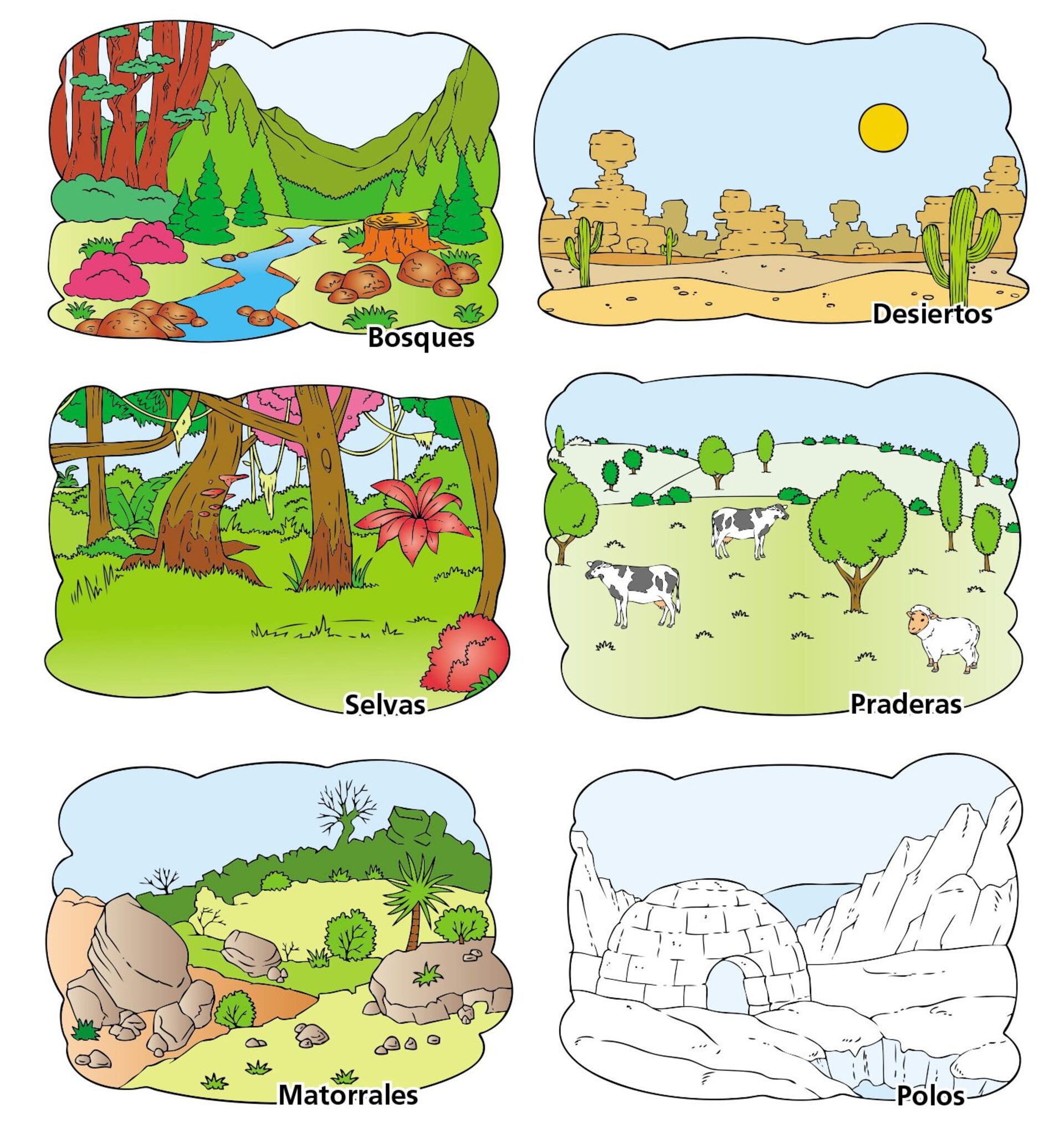dibujo del ecosistema terrestre