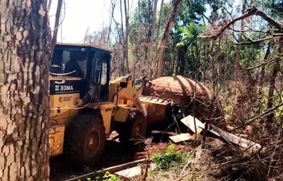 Preciso instante en que un tractor procede a la destrucción de uno de los hornos de carbón dentro de la reserva.