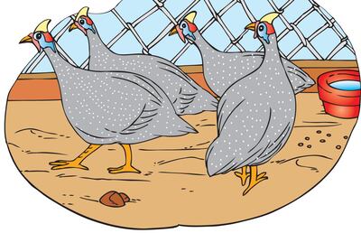 /pf/resources/images/abc-placeholder.png?d=2419