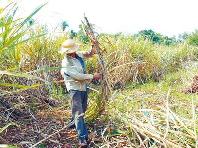 /pf/resources/images/abc-placeholder.png?d=2421