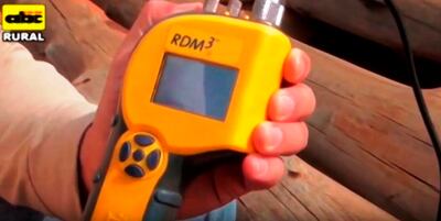 Tecnología en eucaliptos que agrega valor  al producto forestal.