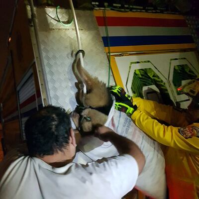 /pf/resources/images/abc-placeholder.png?d=2421