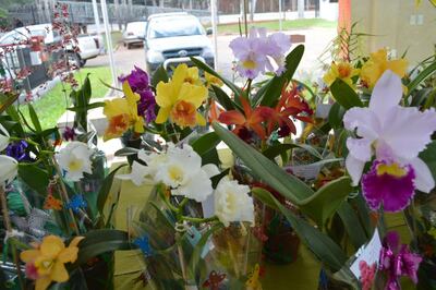 /pf/resources/images/abc-placeholder.png?d=2421