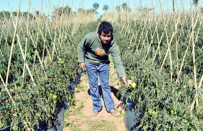 /pf/resources/images/abc-placeholder.png?d=2394