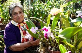 blanca-petersen-de-ibarrola-tiene-experiencia-en-el-cultivo-de-cattleyas--205842000000-1377259.jpg