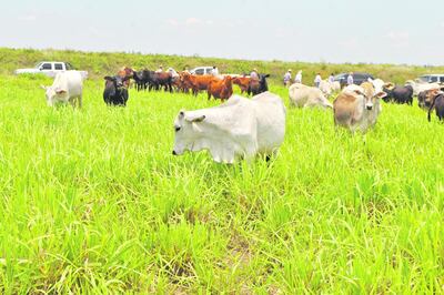 /pf/resources/images/abc-placeholder.png?d=2394