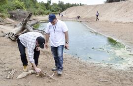 fiscales-constatan-mortandad-de-cocodrilos-debido-a-la-falta-de-agua-195609000000-1472589.jpg