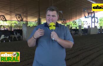 Uso de cama de compost y sus ventajas para el ganado lechero